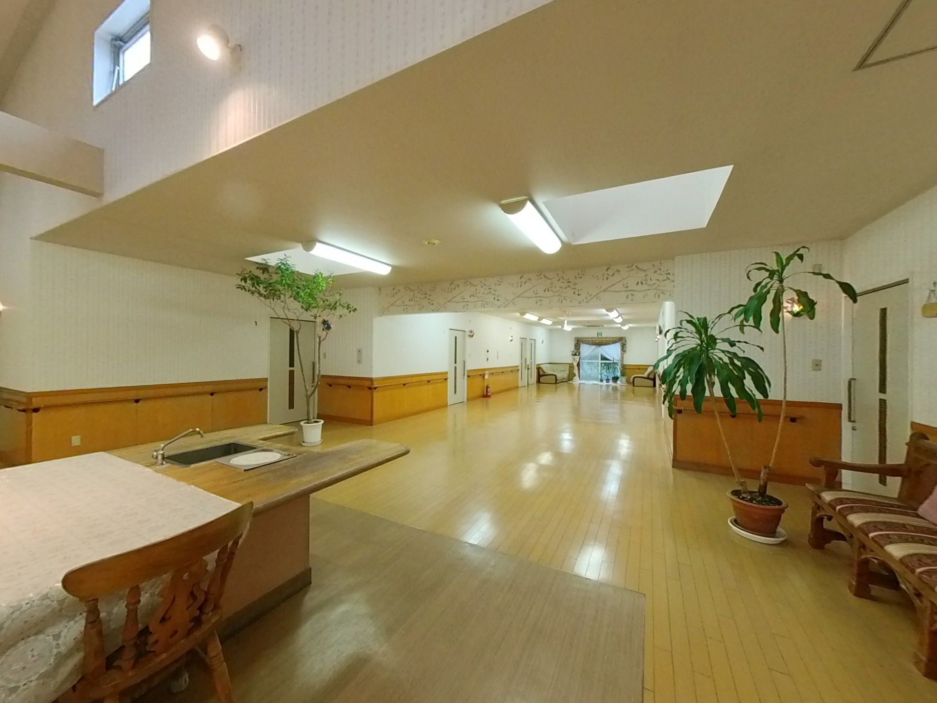 観葉植物がある内観