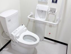 オレンジの呼び出しボタンが設置されたトイレ。大きな手すりや手洗い場もトイレットペーパーホルダーの近くにある。