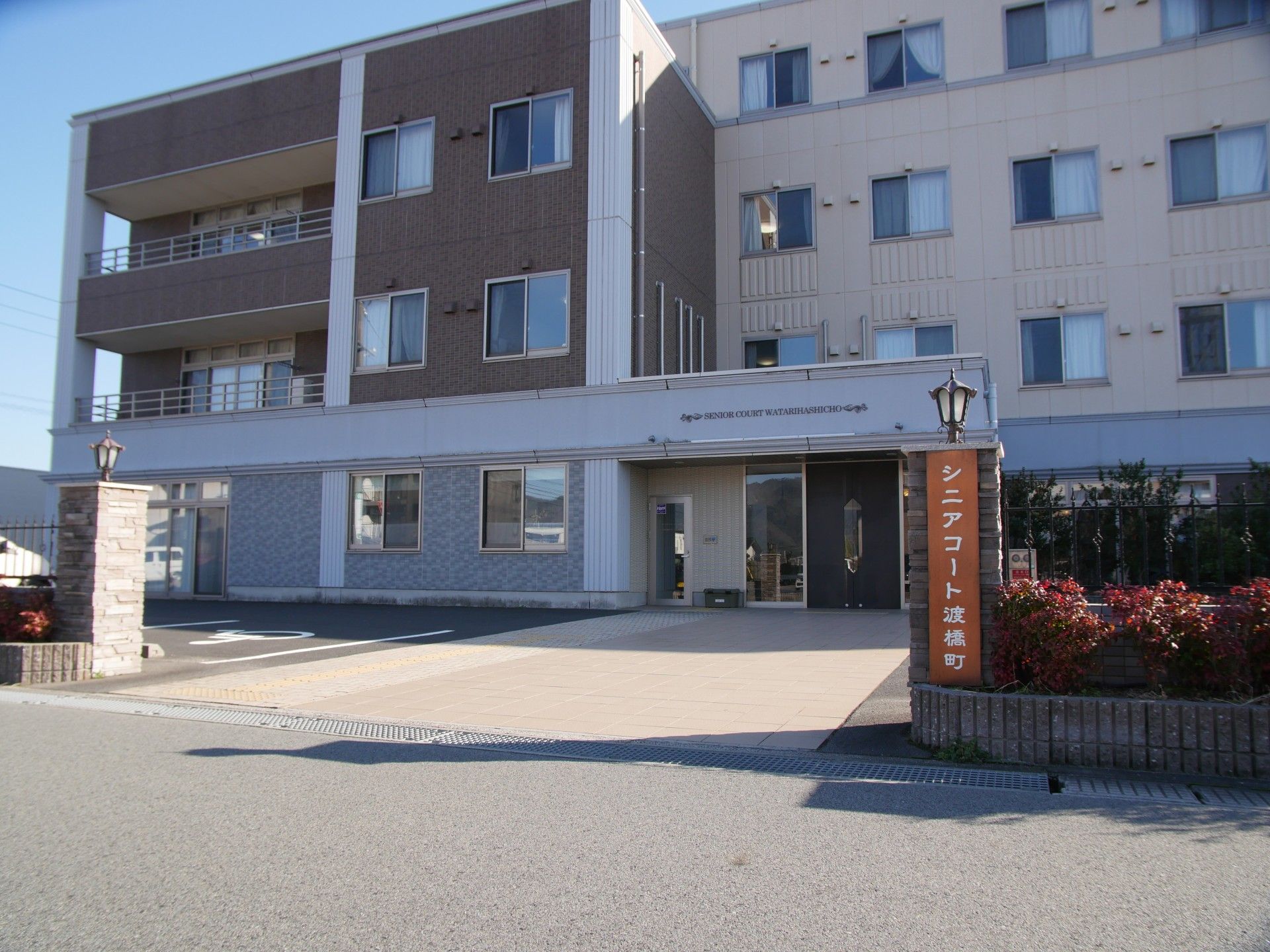 仲良く食事をしている高齢の男性と女性
