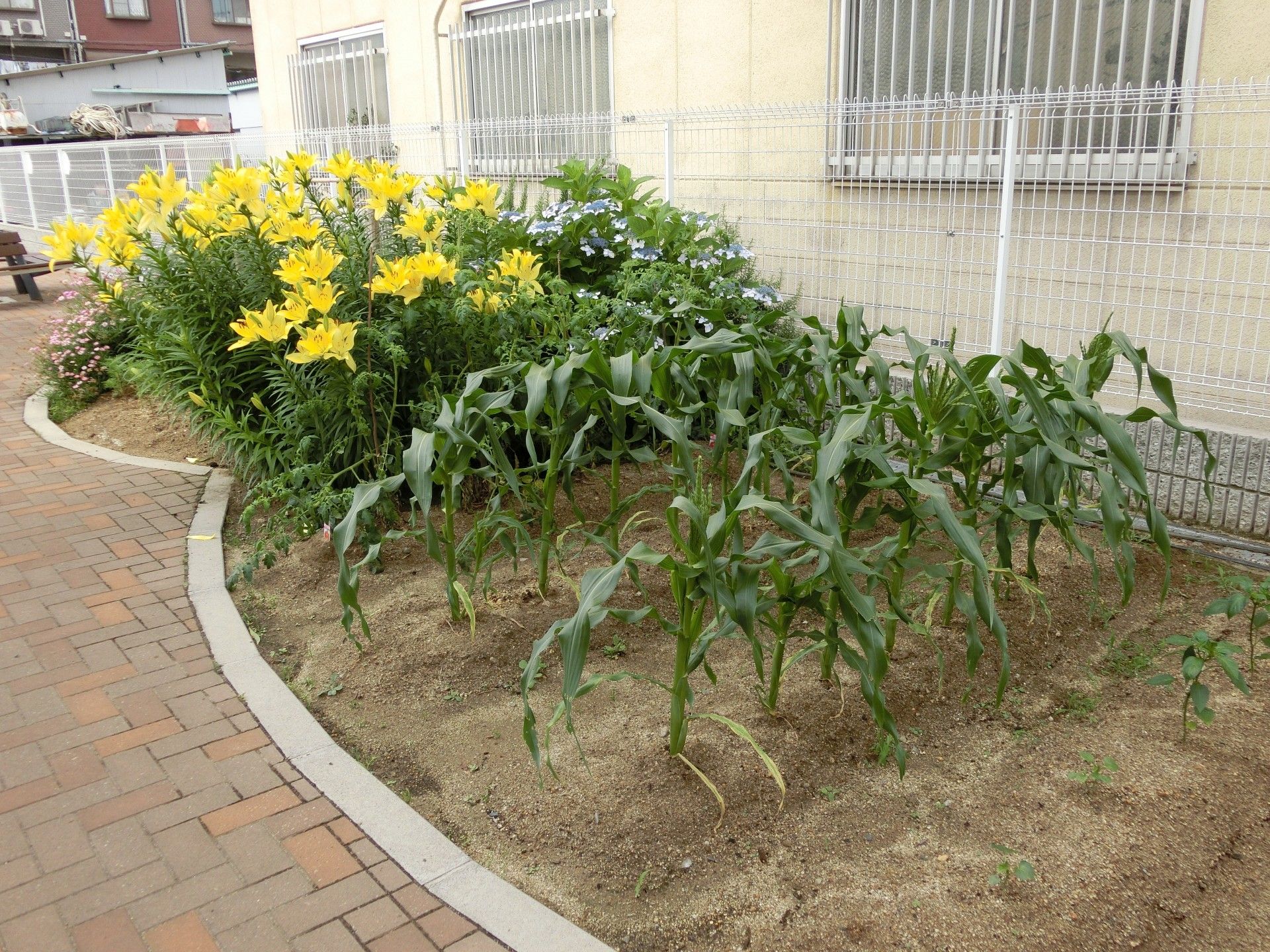 4階建ての建物はブラウン系で各フロアにベランダがあり、建物の周りには緑が植えられ、玄関のそばにはベンチもある。