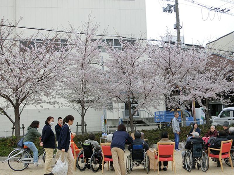 きれいに花が咲いたたくさんの桜の木がある公園のような場所でお花見をしている入居者とスタッフ。