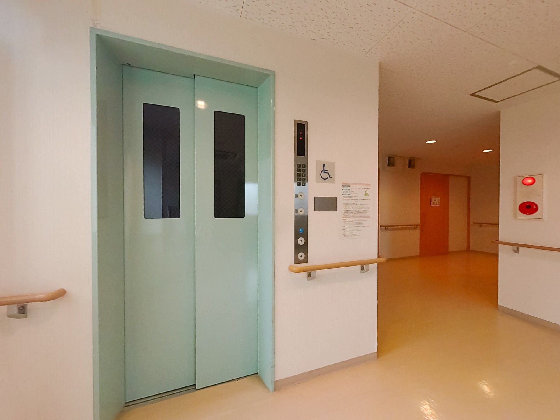 緑の多い屋外で笑顔で過ごしている車いすの高齢男性と付き添いのピンクのエプロンを付けた女性スタッフ。