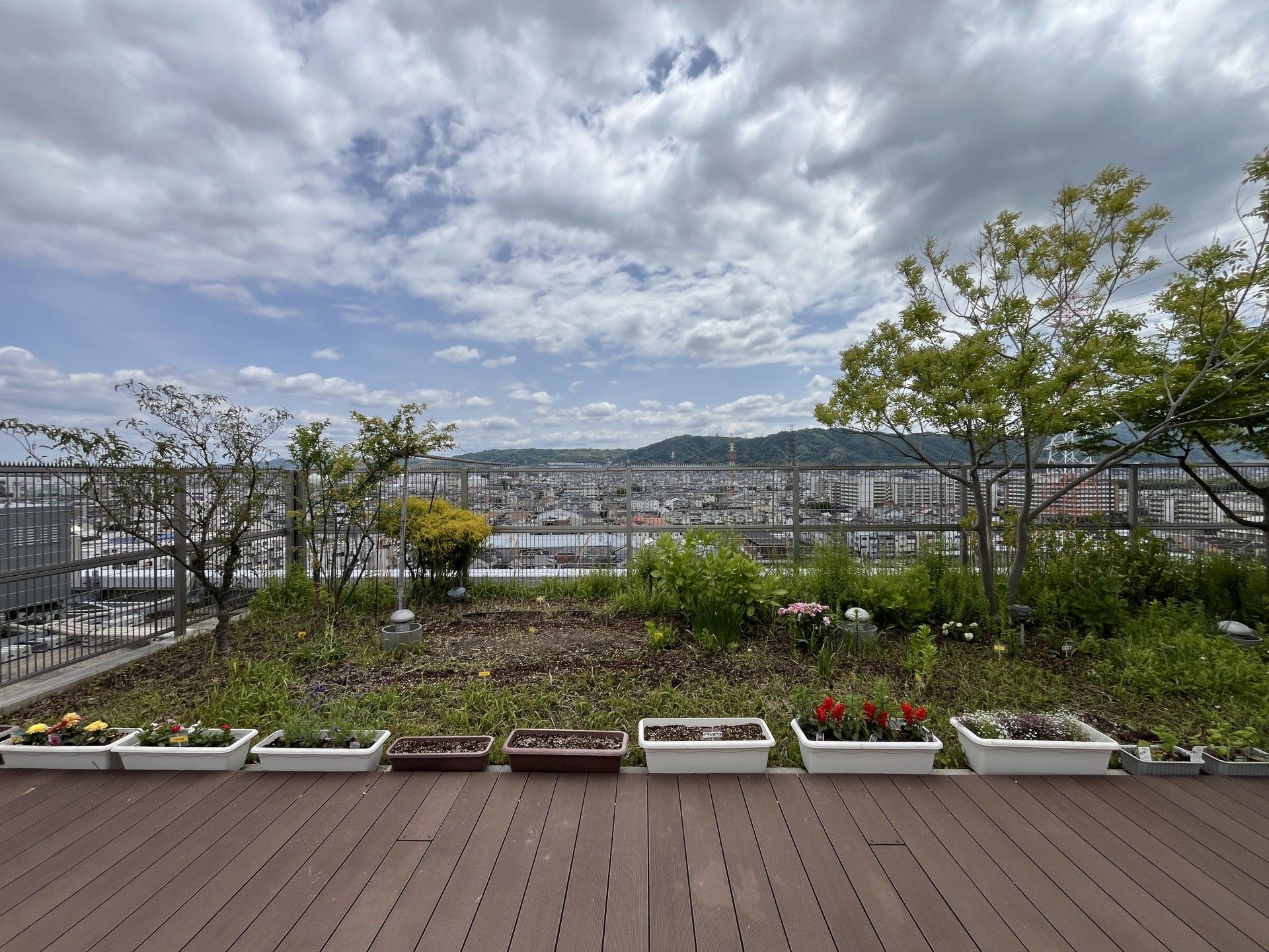 緑豊かな屋上庭園