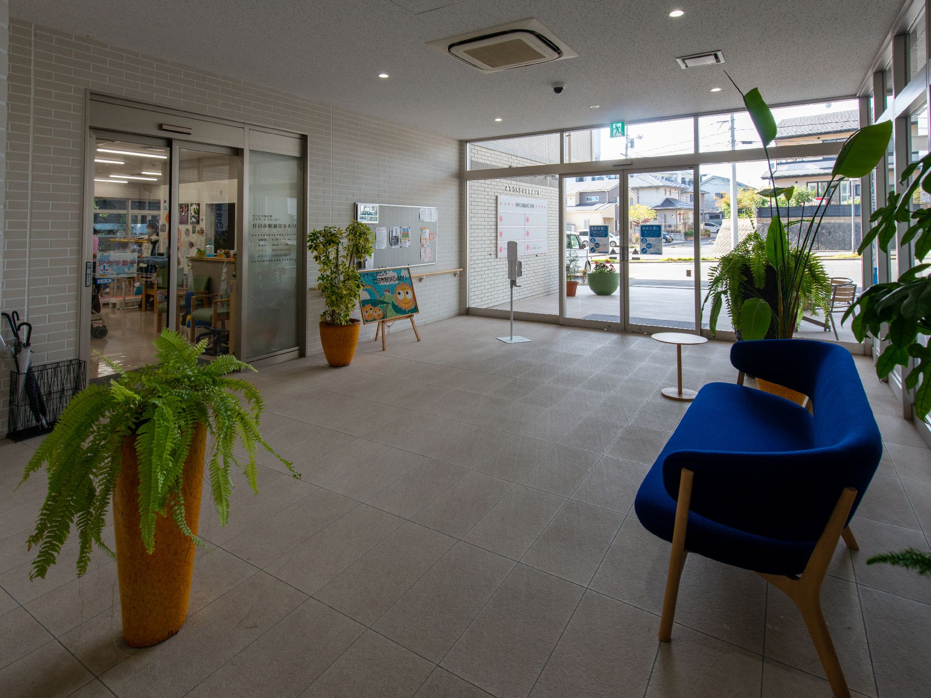 青いソファーの周りに植物が置かれている玄関