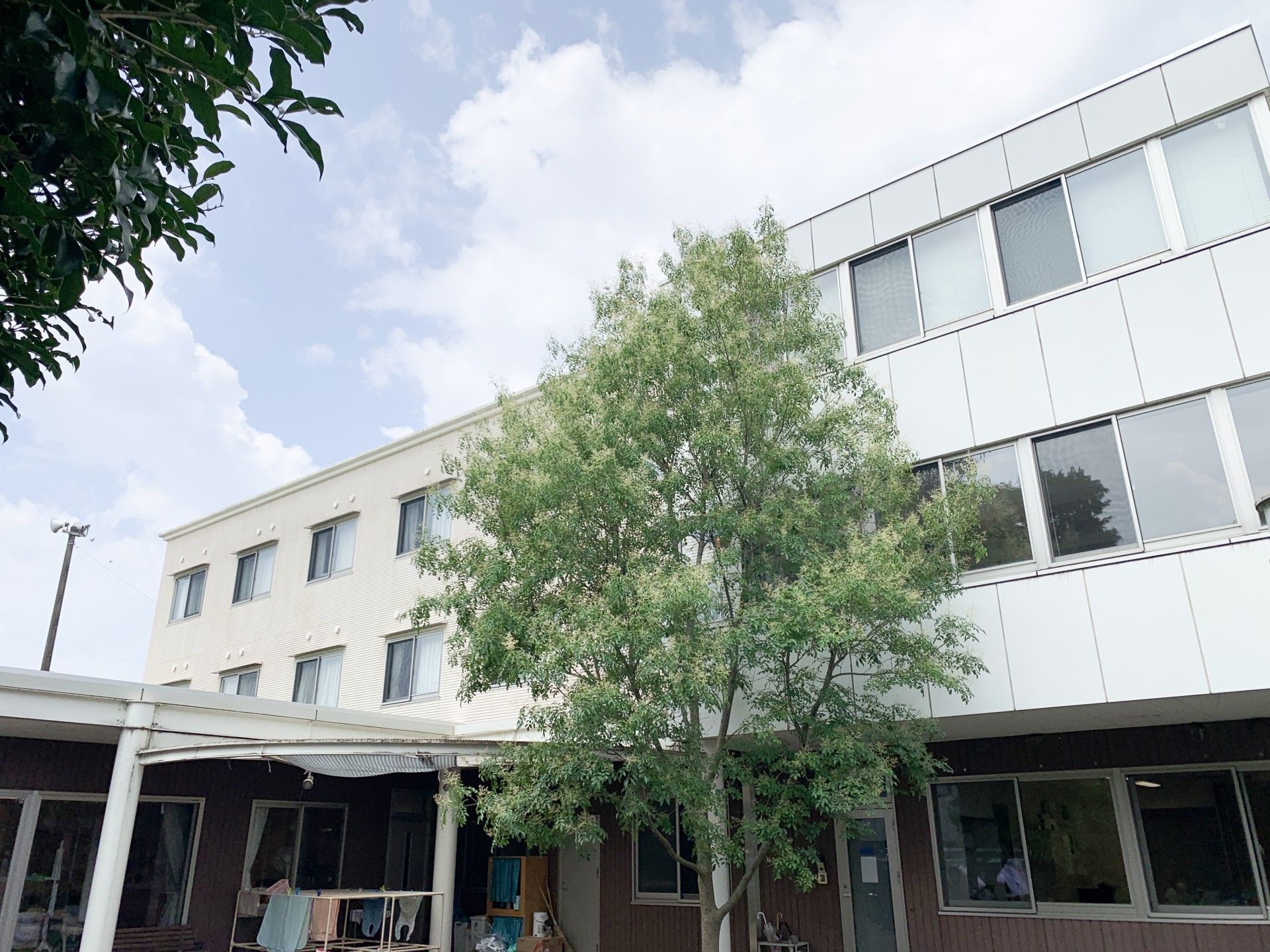 緑豊かな建物の外観