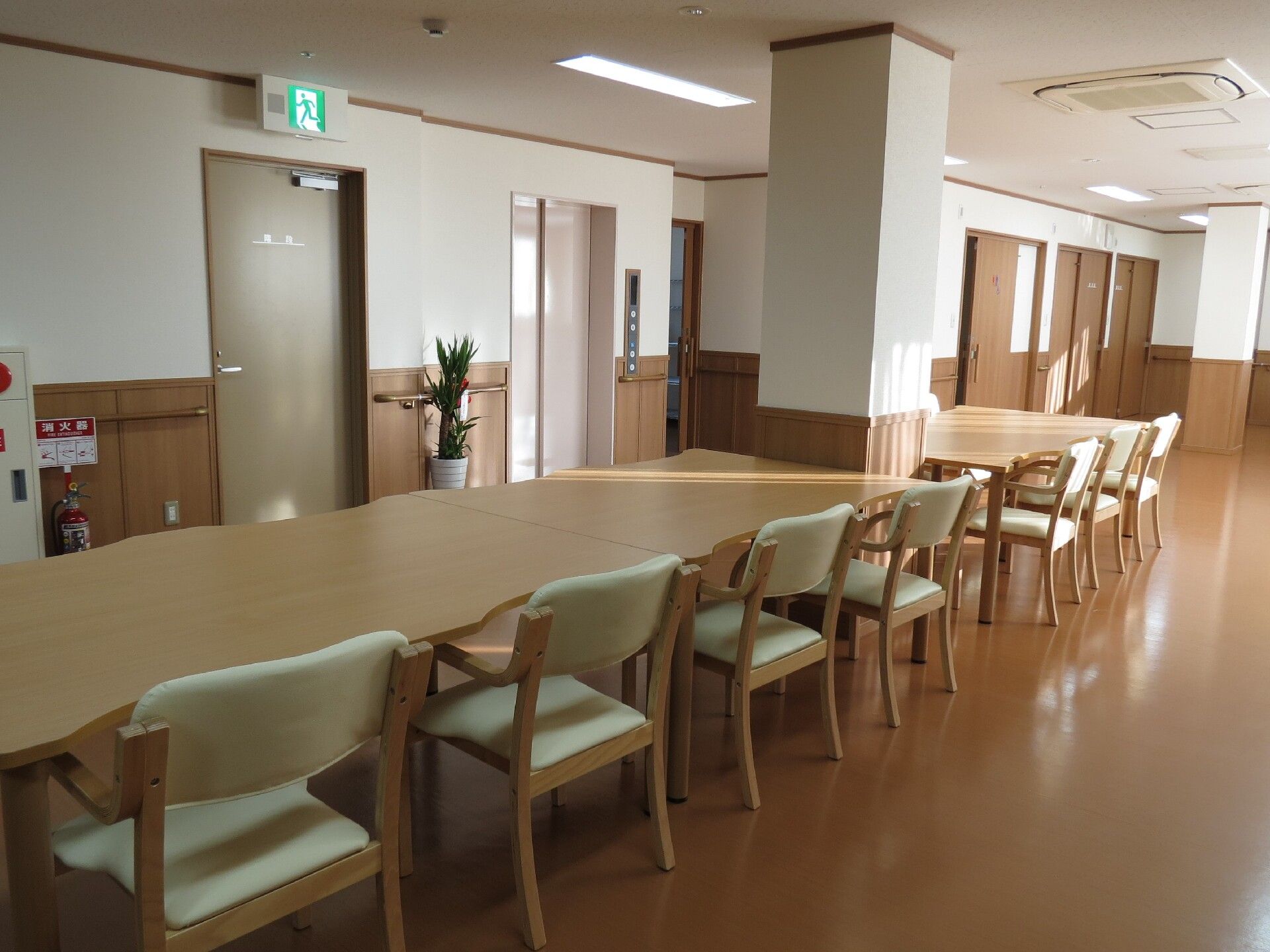 白い椅子がセットされた大きなダイニングテーブルが置かれた食堂。観葉植物が置かれ、窓から陽の光が入っている。