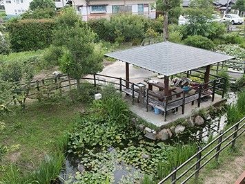 東屋が設置された広い庭には池もあり、草木がたくさん植えられた自然な庭となっている。