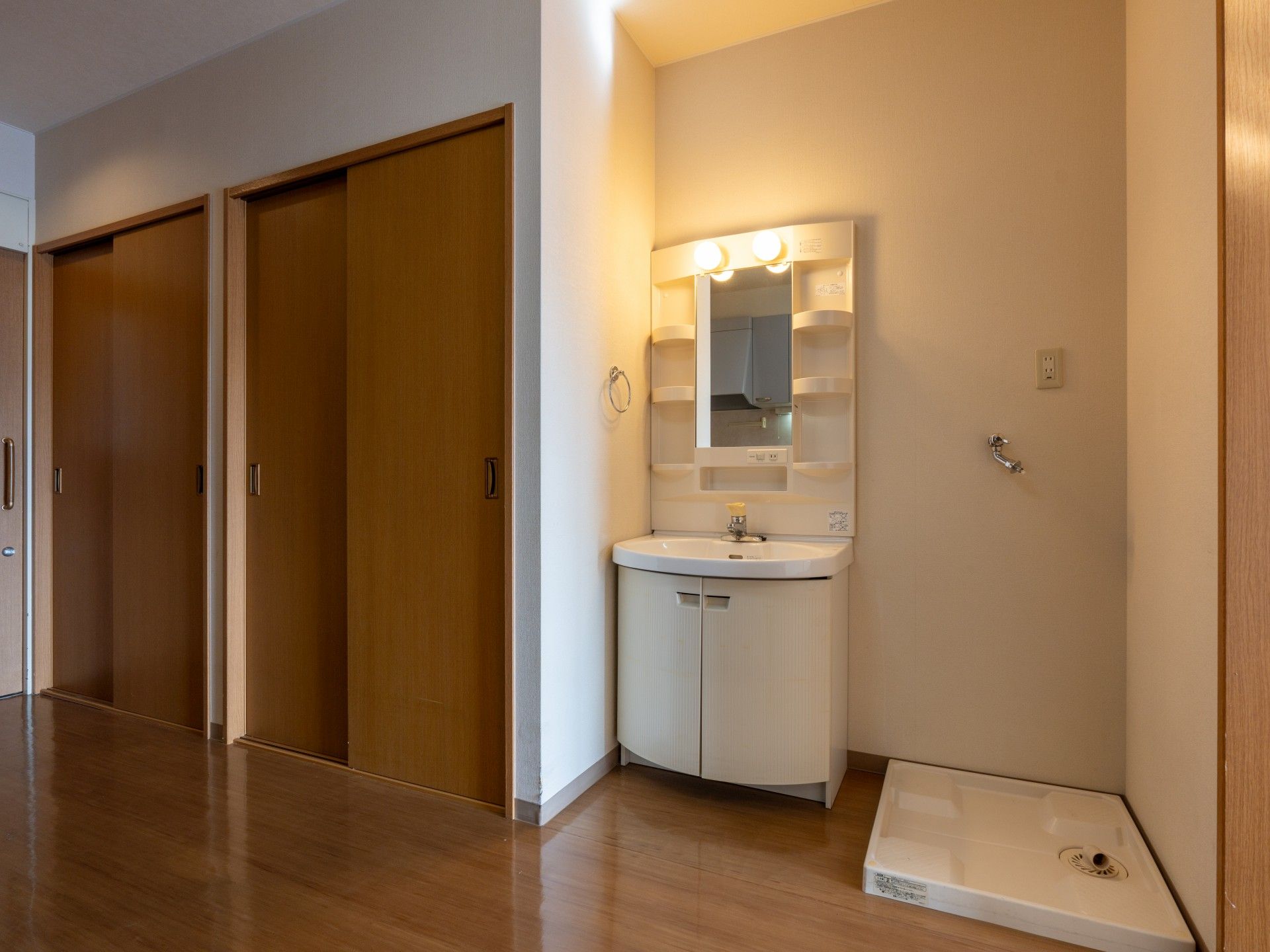 洗面台と収納のある部屋