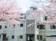 サービス付き高齢者向け住宅 さくら通りの写真