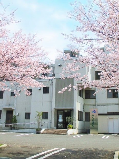 満開の桜の花の奥には3階建ての白い建物がある。駐車場も広く、玄関のわきには看板もある。