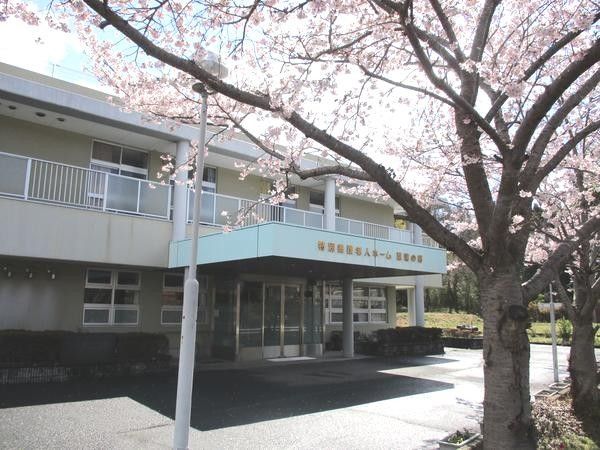 桜並木の建物入口