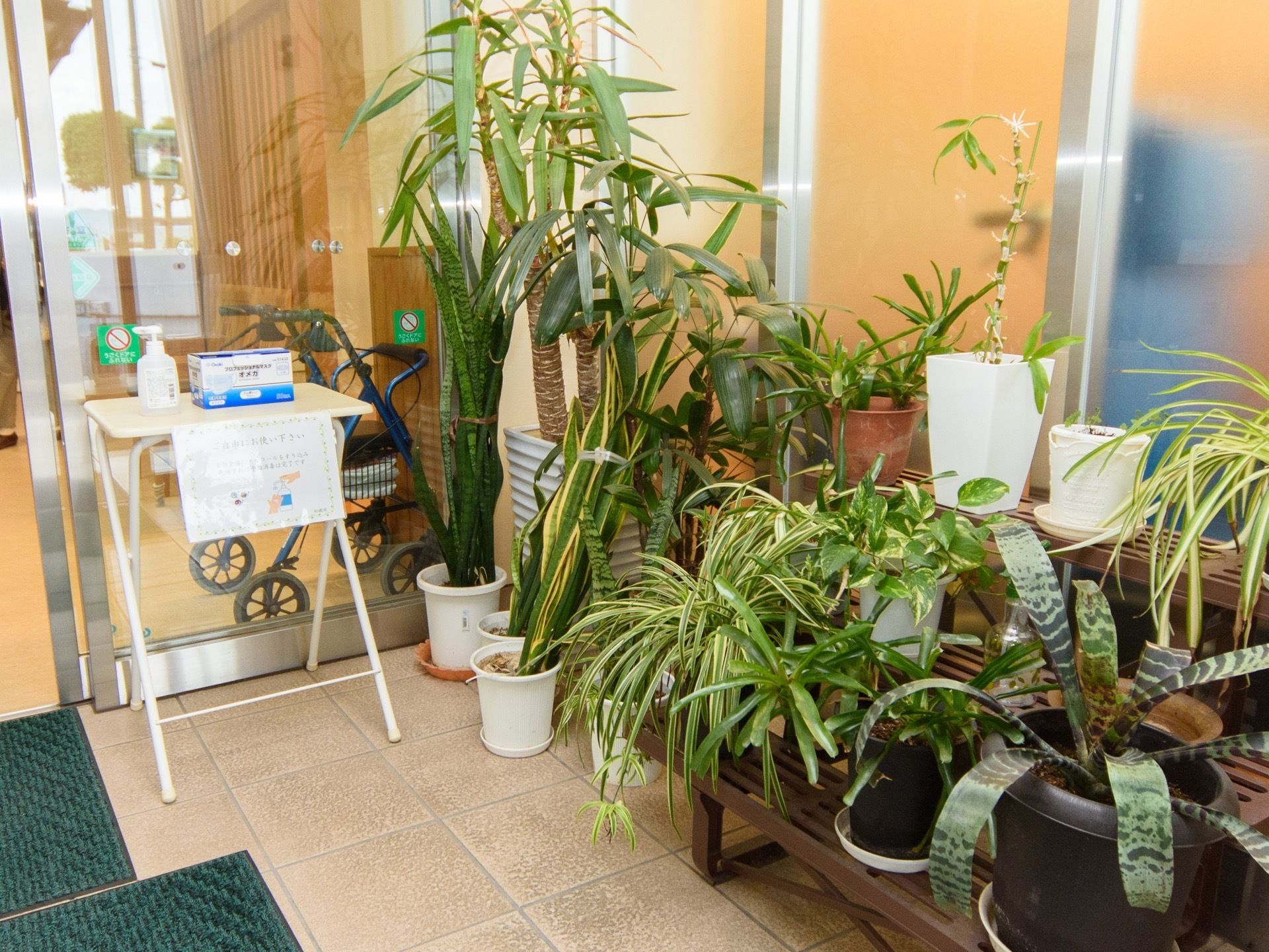 風除室には、数種類の観葉植物が置かれている。出入口扉付近に配置されたテーブルの上には、手指消毒剤とマスクが用意されている。