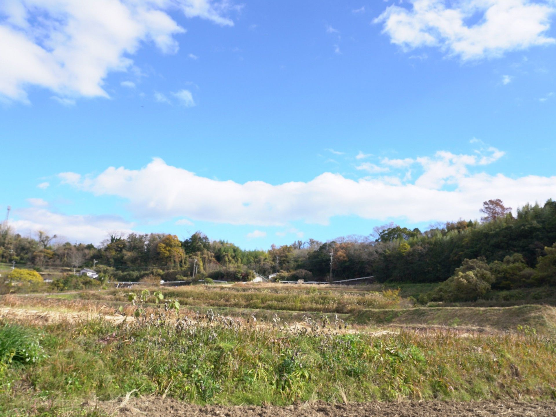 広がる自然の風景