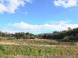 広がる自然の風景