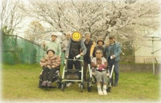 桜の下での集い