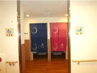 心地よい色のトイレの扉二枚