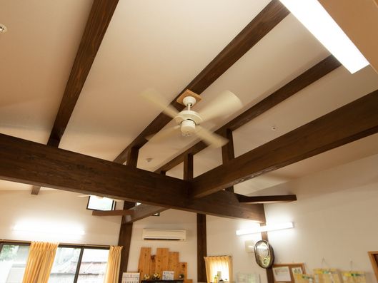 シーリングファン