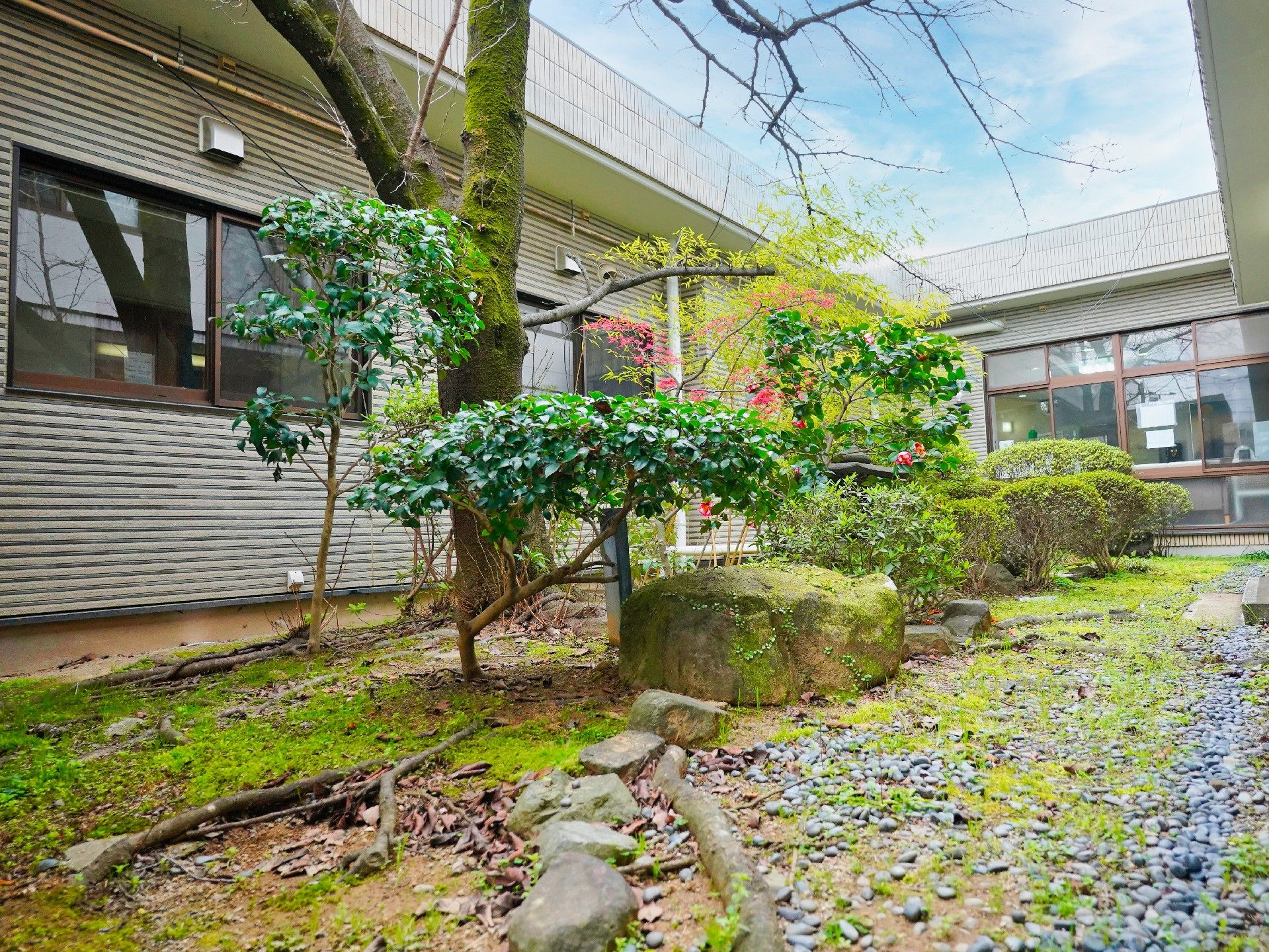 植物や花がたくさん咲いている中庭