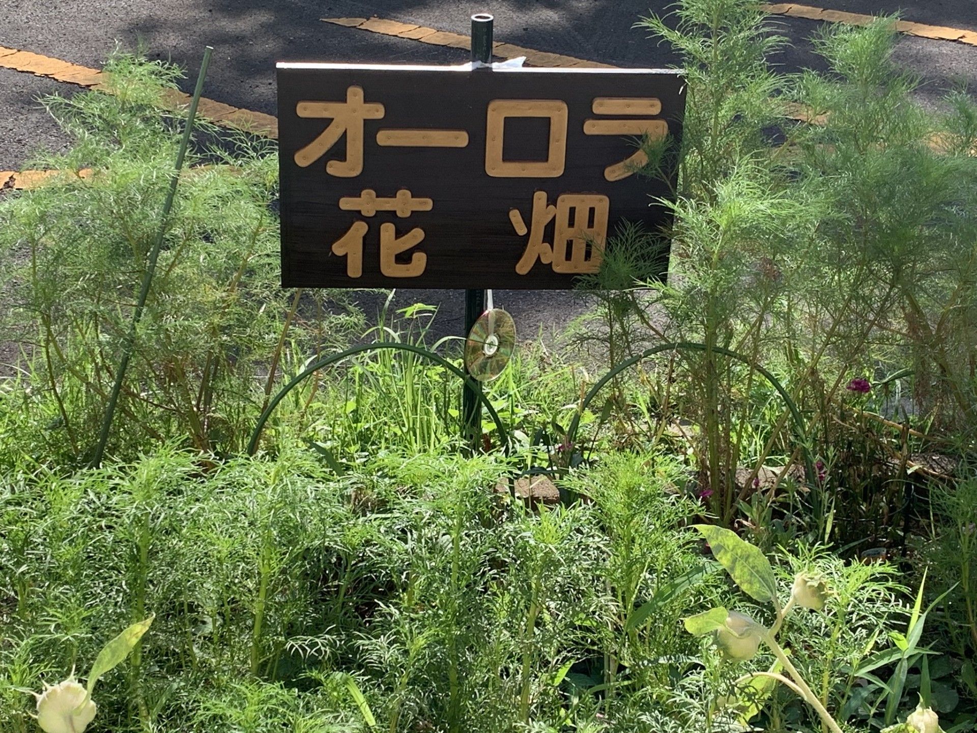 ゆったりとした共有スペース