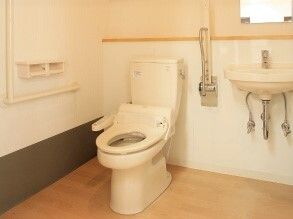 トイレには手洗い場があり、壁にはエル字型の手すりとトイレットペーパーホルダーがあり、反対側には可動式の手すりがあり、便座にはふたがない。