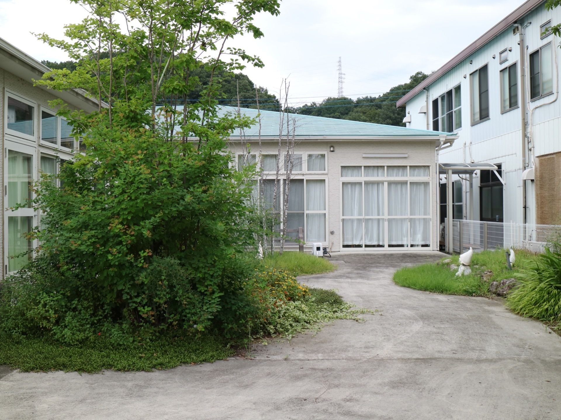 建物に囲まれ、植物が植えられた中庭の様子である。コンクリートで舗装された通路があり、植物のなかに置物の人形が置かれている。