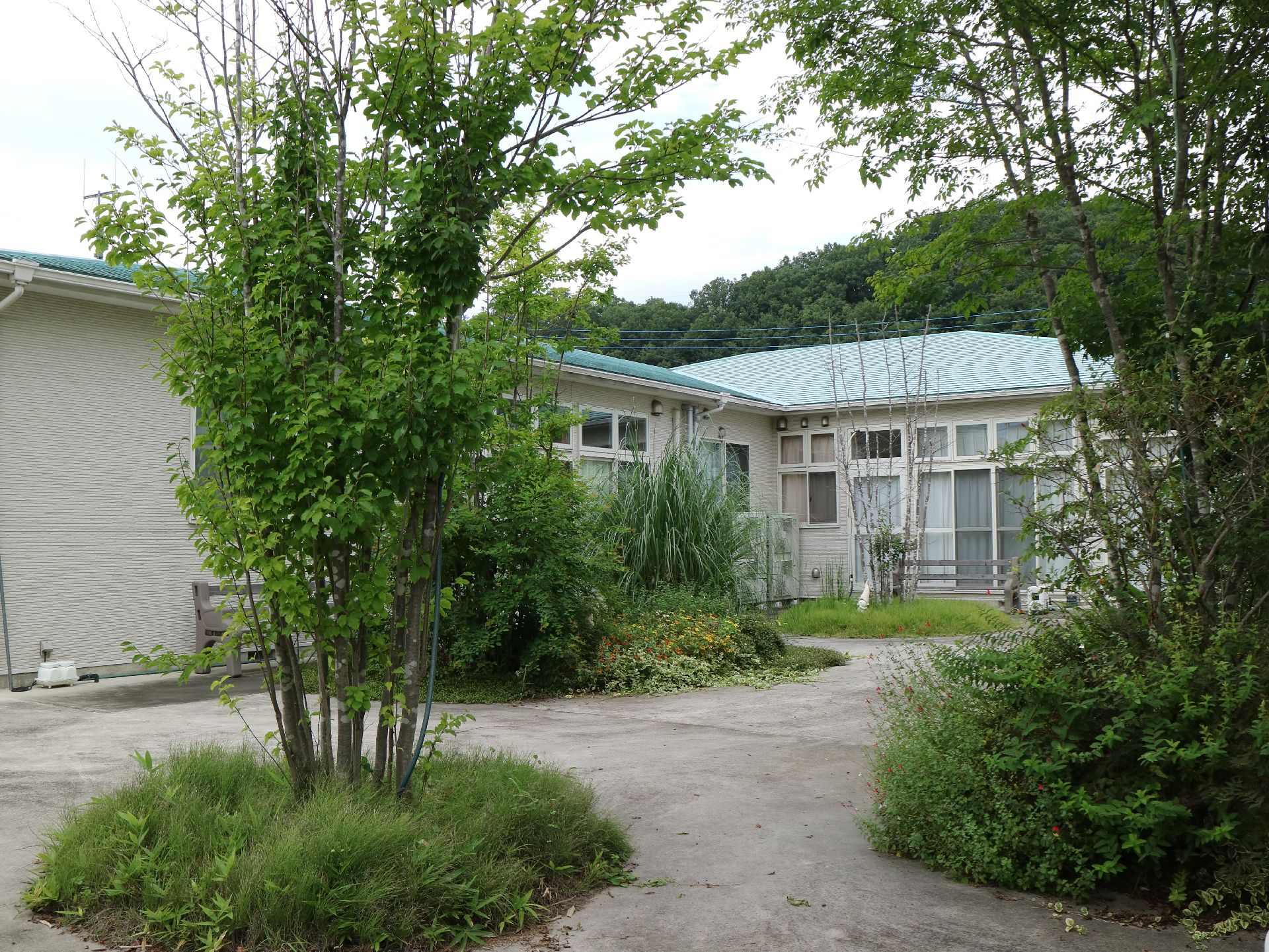 緑が豊かな庭の奥に見え、背後に森が広がる平屋の建物