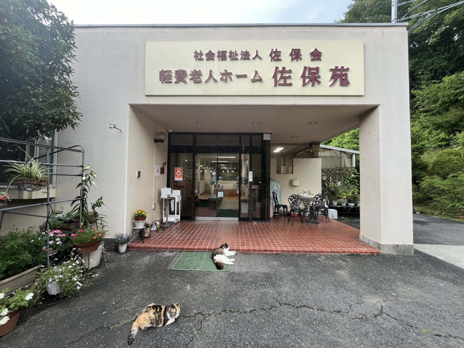 入り口に猫がいる施設正面