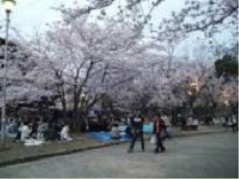エクセレント両国ガーデンヒルズの周辺環境。大きな公園がございます。日々沢山の子供達で賑わう明るい公園です。