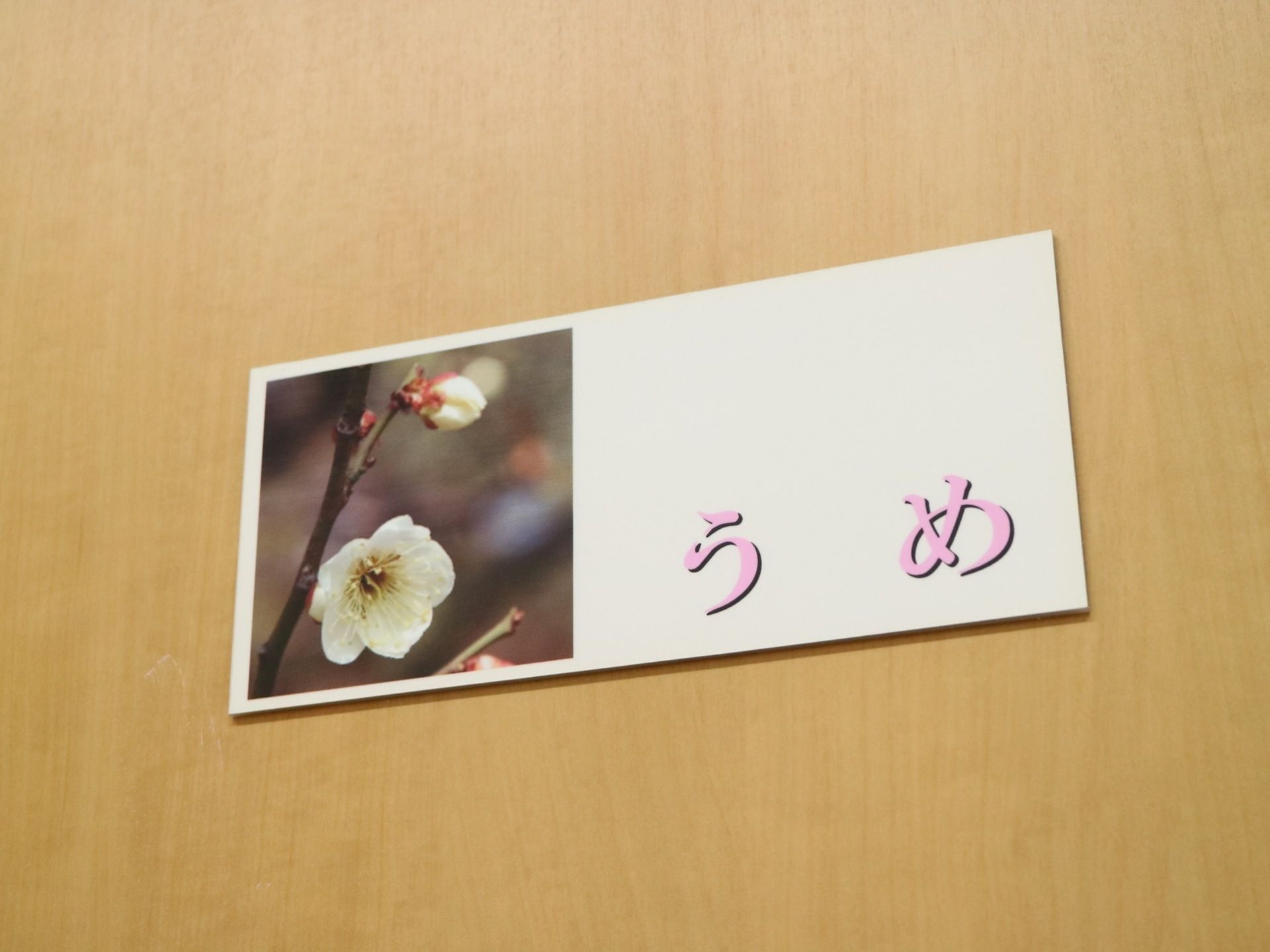 居室の入口扉に、居室の名前が書かれた横長のパネルがある。季節を代表する花の名前で、写真もある。