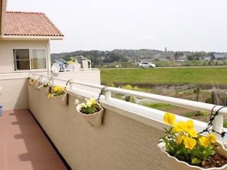 黄色いパンジーが植えられたプランターがたくさん飾られたベランダ。周囲には緑も多い。