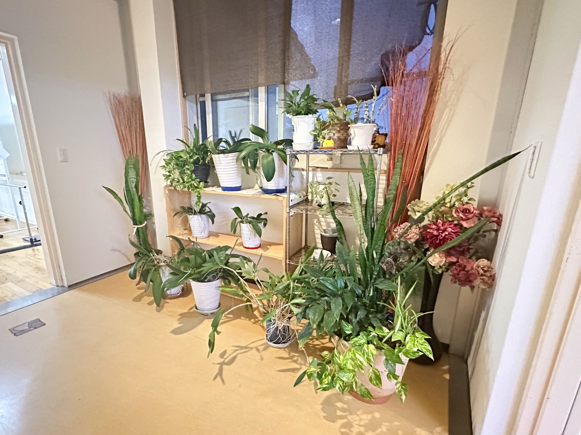 緑豊かなエントランス