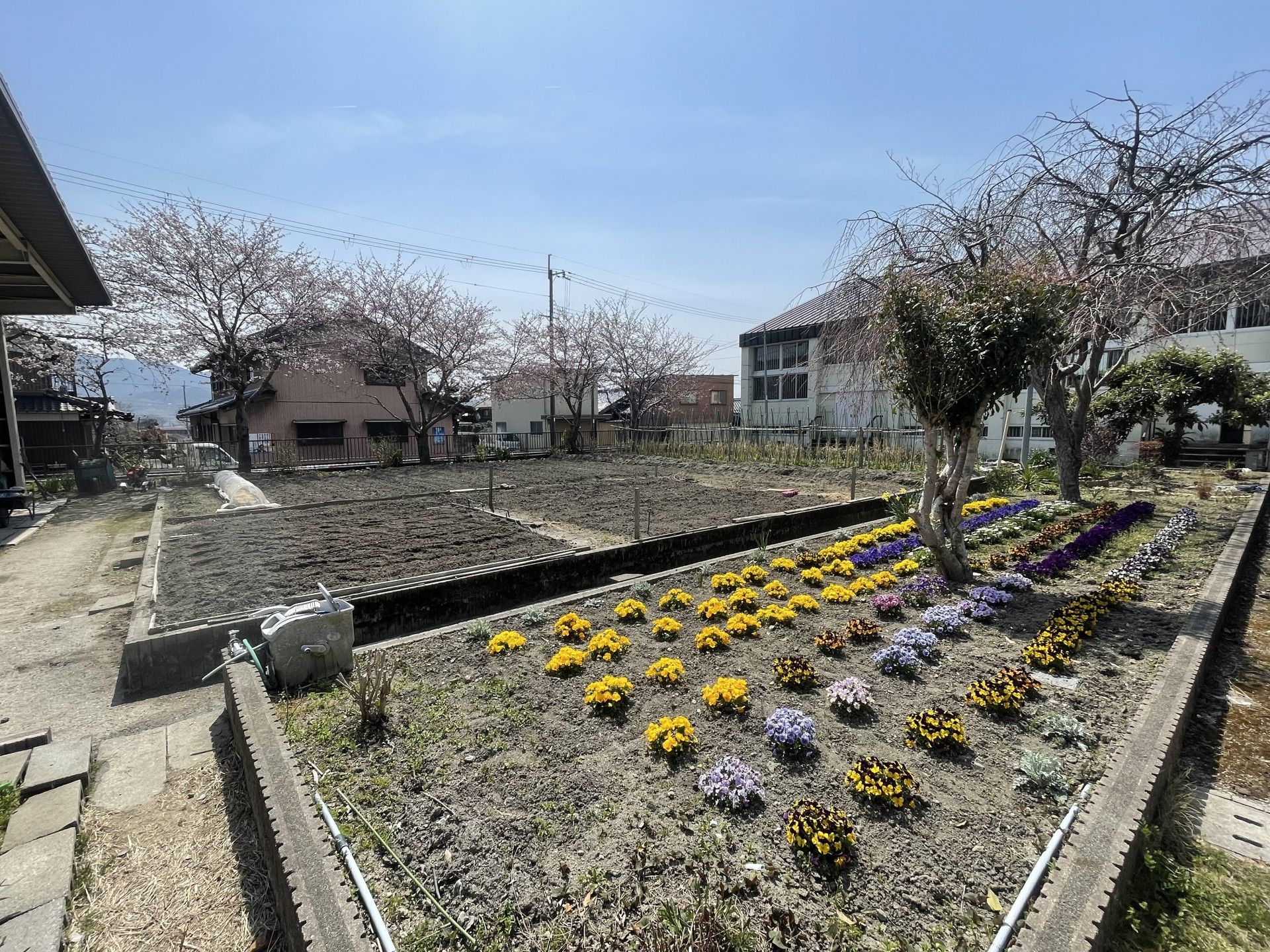 色とりどりの花壇と庭