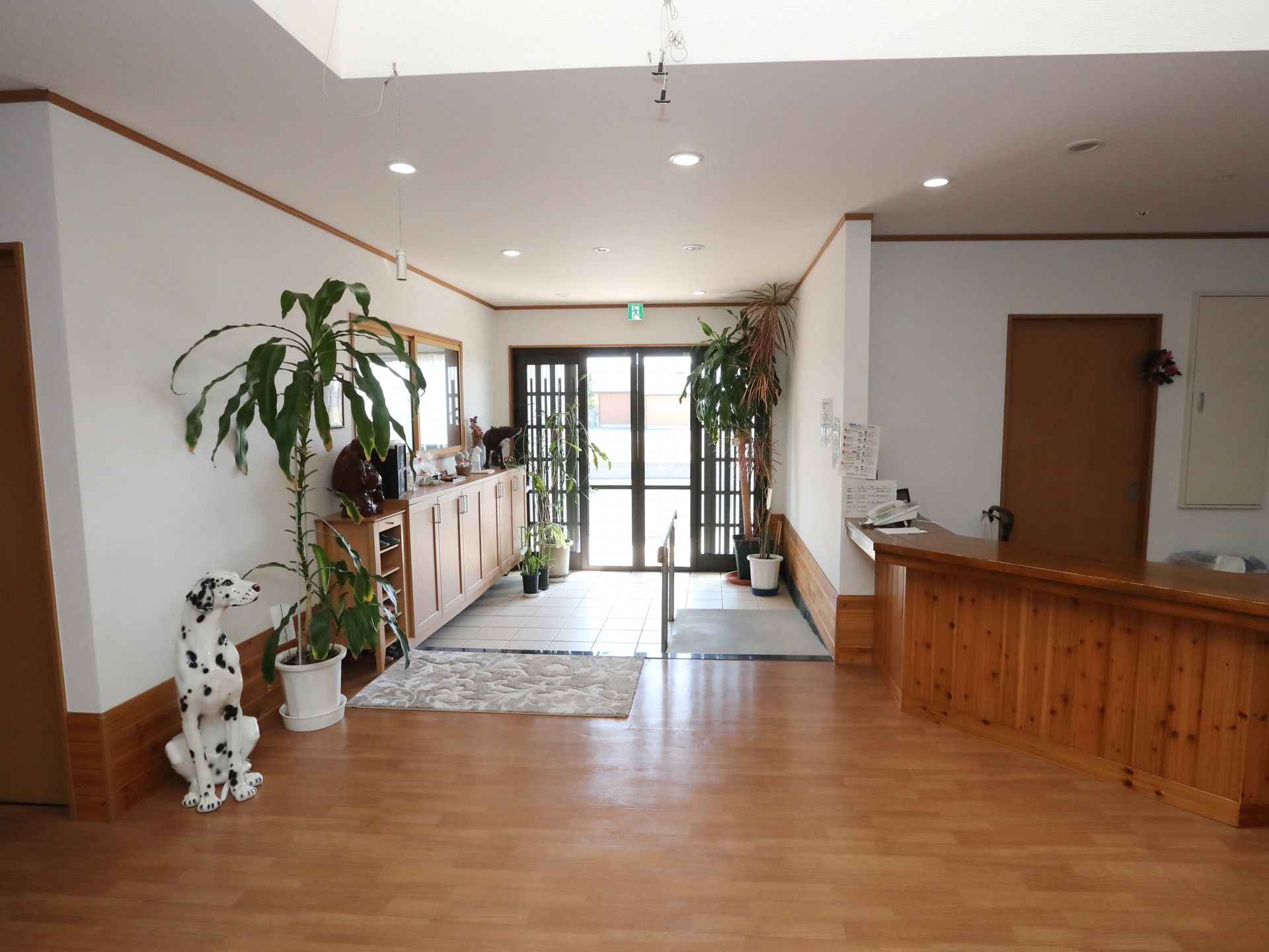 観葉植物が置かれている出入口