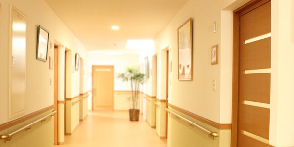 廊下に複数の扉と観葉植物