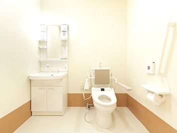 手すりと背もたれが設置されたトイレが右側に、左側には棚や鏡付きの洗面所があり、トイレの総パネルが壁に付いている。