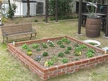 施設内の中庭に植物が植えられている様子。ベンチや水場があるリラックススペース
