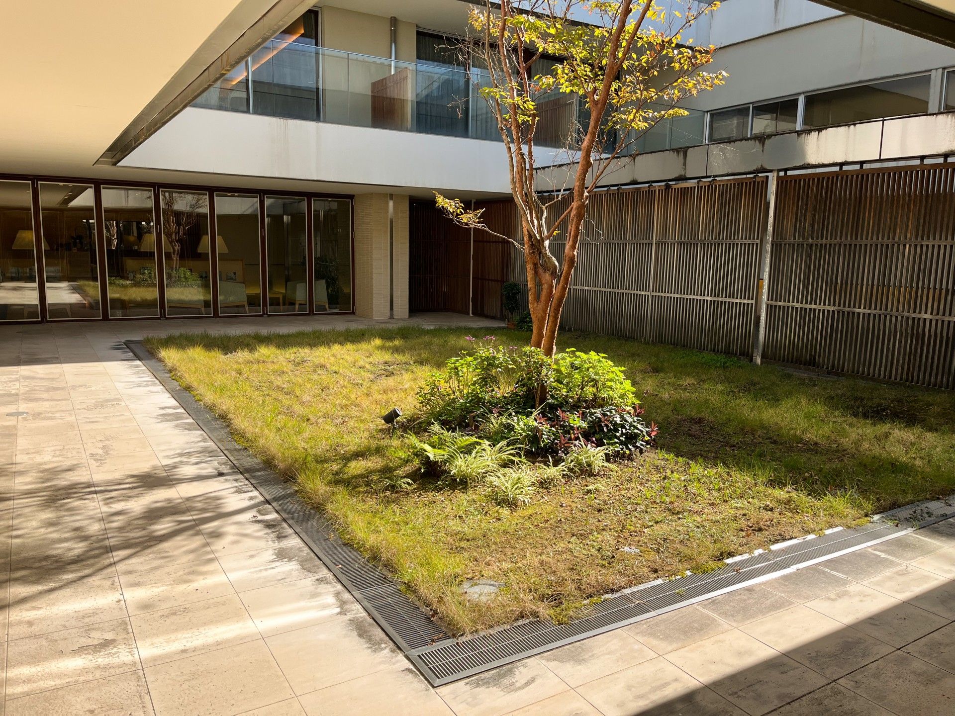 建物内にある木が植えられた広い中庭