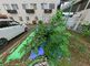 介護施設の外観と周辺環境
