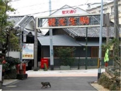 大きなお寺への参道が駅付近から続いており、賑やかな雰囲気があり、商店も多く買い物や散策に適している。