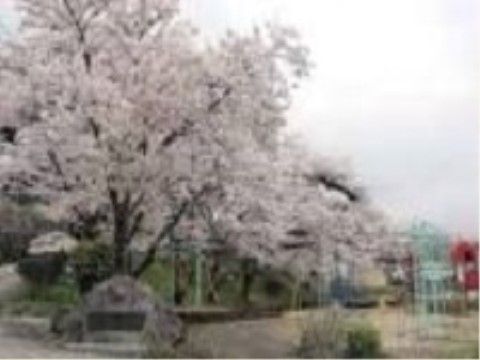 施設付近には公園がある。大きな桜の木があり、春には桜を眺めながら散策や日光浴などを楽しむことができる。