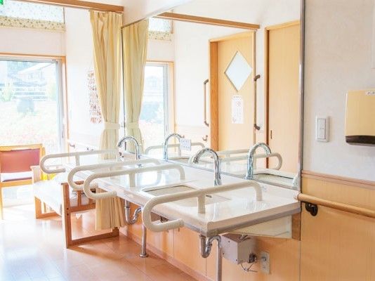 手すり付きの洗面所が二つ並び、大きな鏡が付き、カーテンの向こうにはベンチもある。