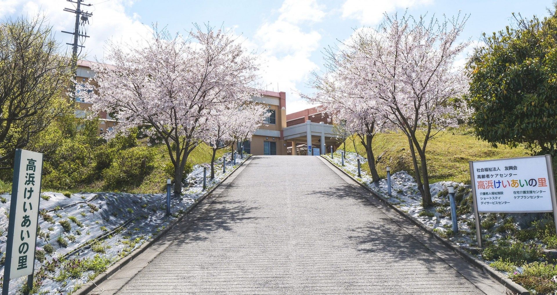 桜並木のある施設入口