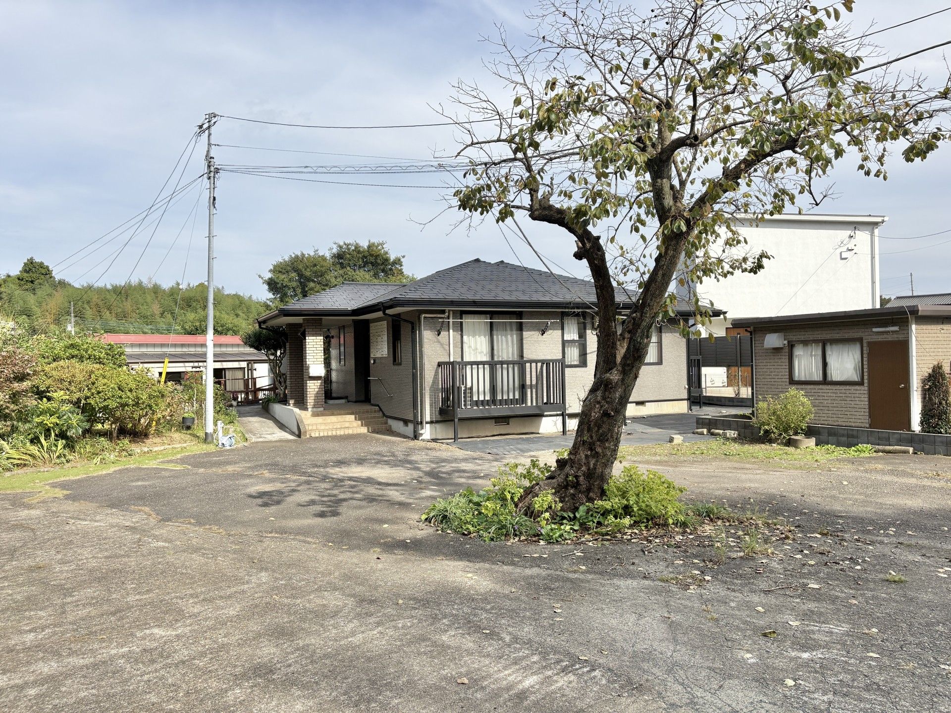 庭のある建物の外観