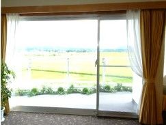 窓から外の景色を眺めた様子。自然豊かな風景が広がっているのが分かる