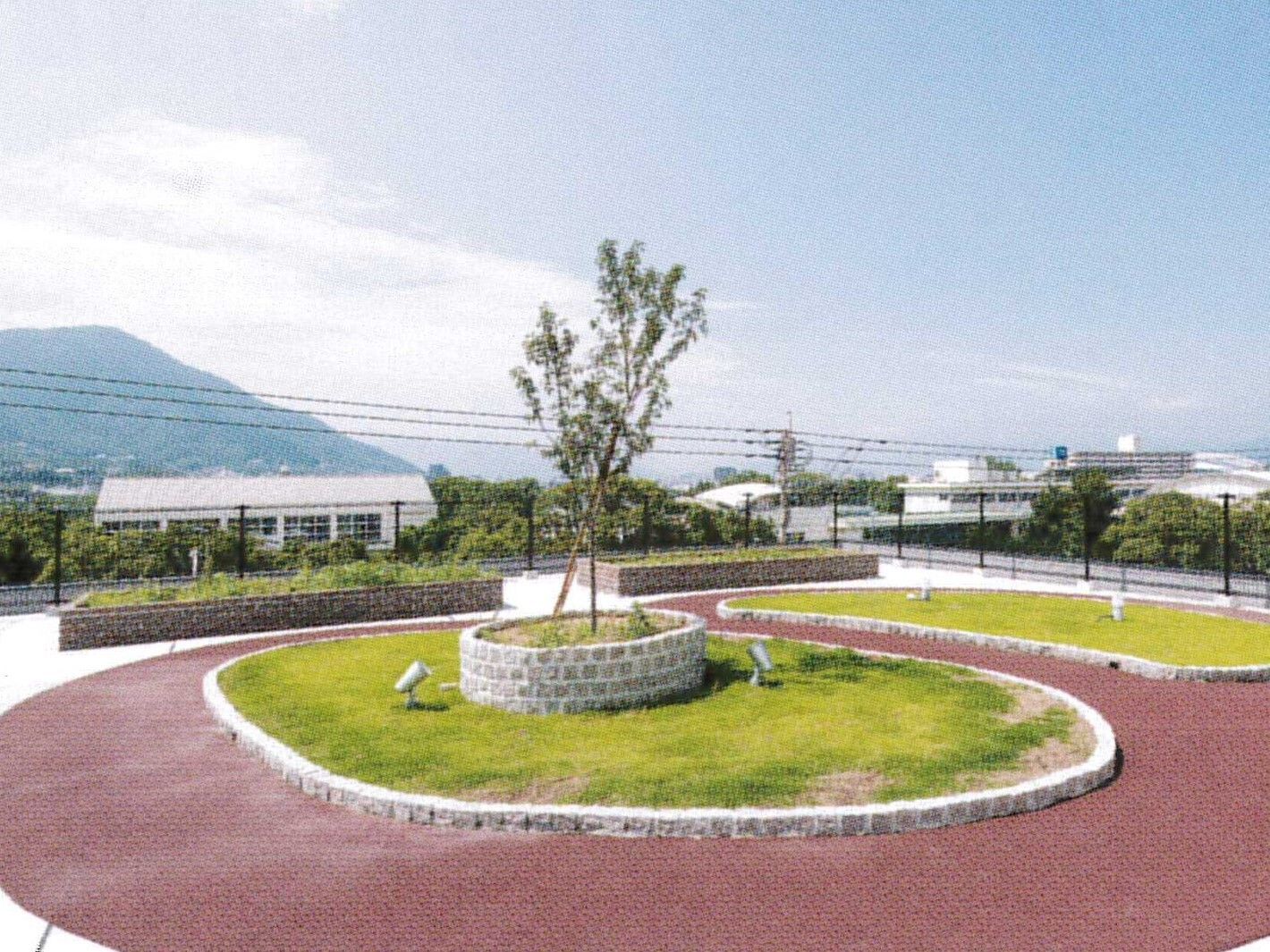屋上の庭の写真。植物が植えられてその周りが遊歩道になっている屋上庭園