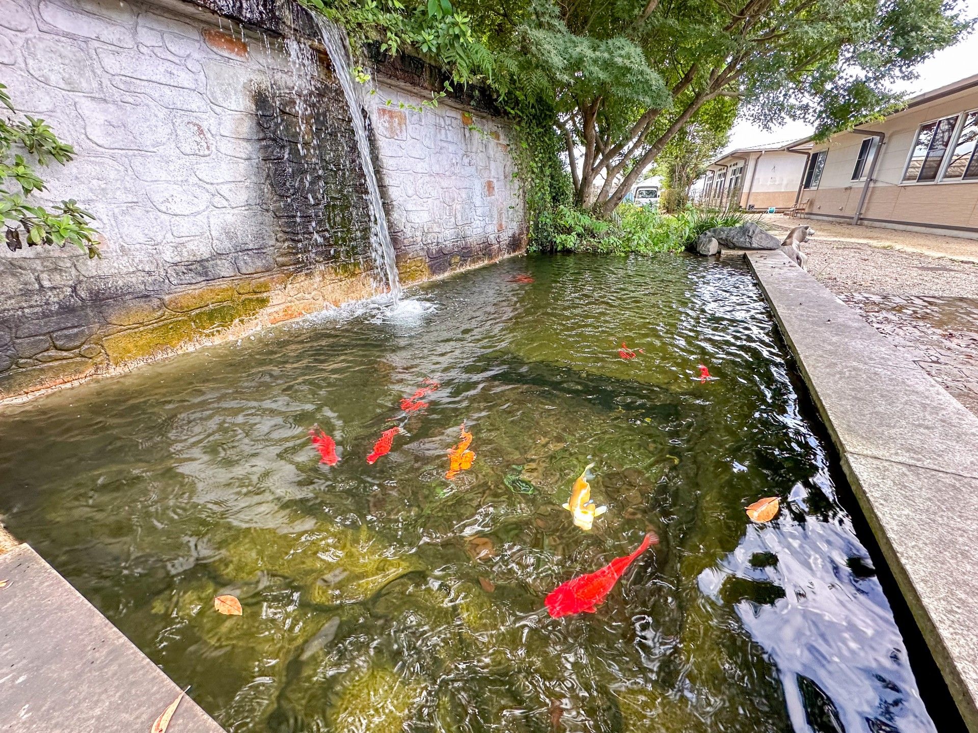 癒しの庭園風景