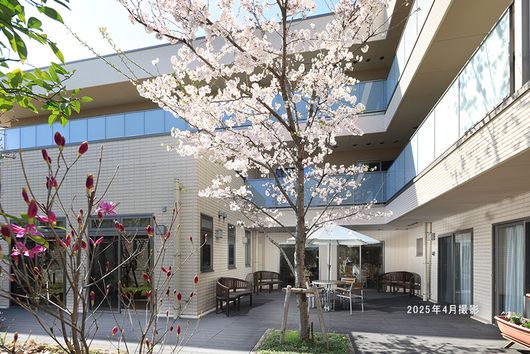 1F ウッドデッキ/桜