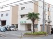 新緑平野の写真