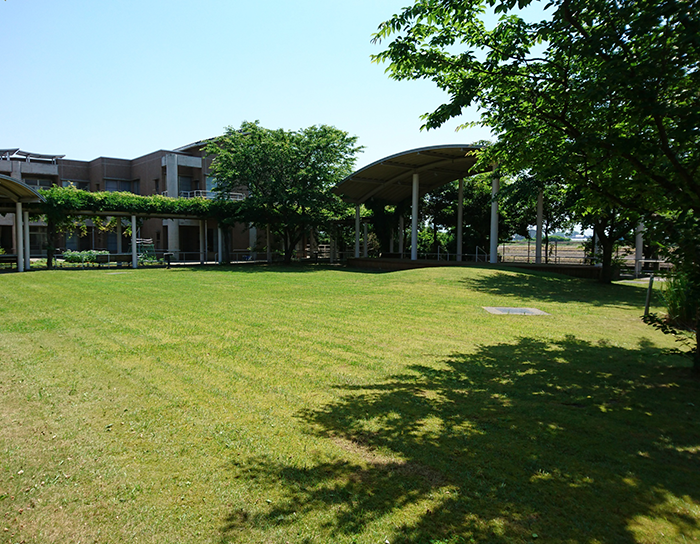 緑豊かな庭園風景