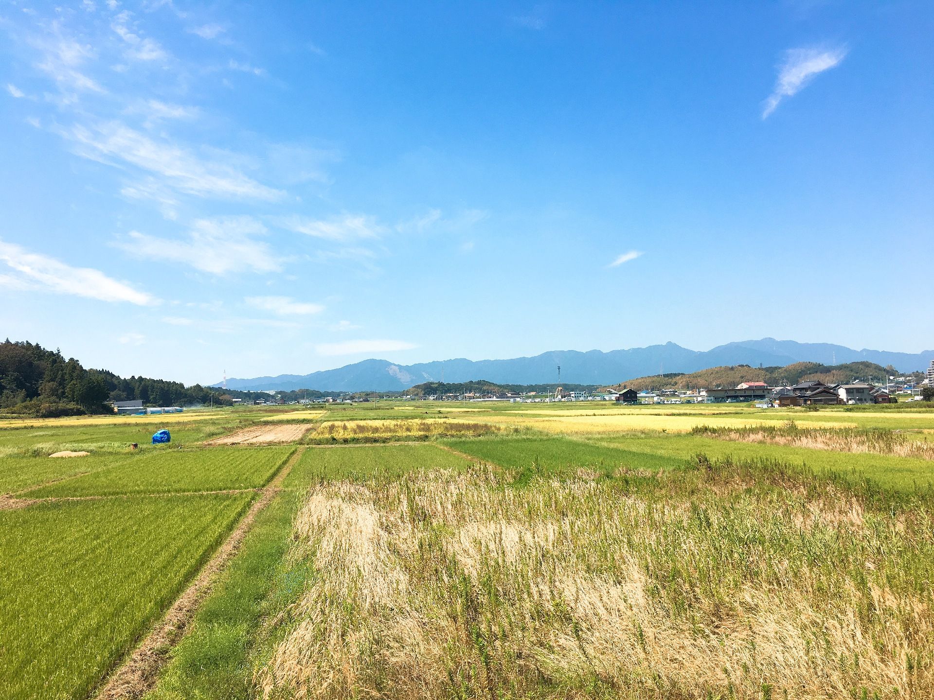 周囲に田んぼが広がり、遠くの山々も望むことができる施設周辺の風景
